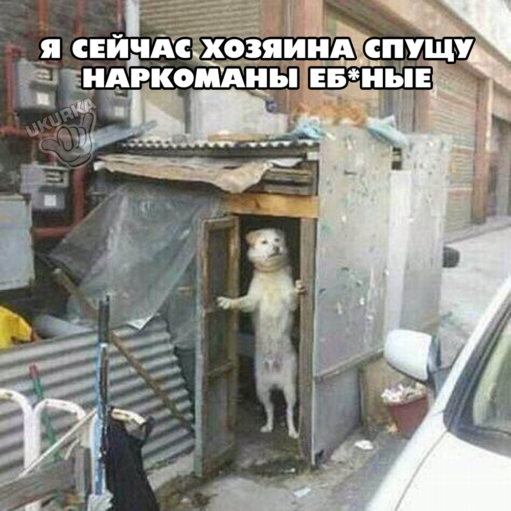 Анекдоты обо всем - Бодибилдинг форум AnabolicShops