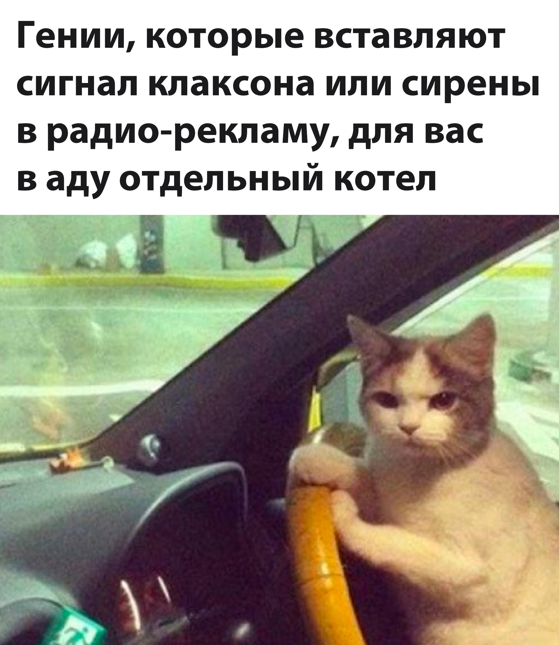 Анекдоты обо всем - Бодибилдинг форум AnabolicShops