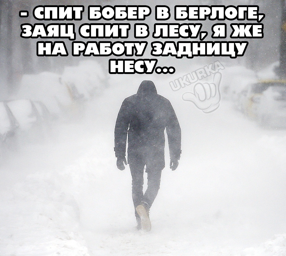 Анекдоты обо всем - Бодибилдинг форум AnabolicShops