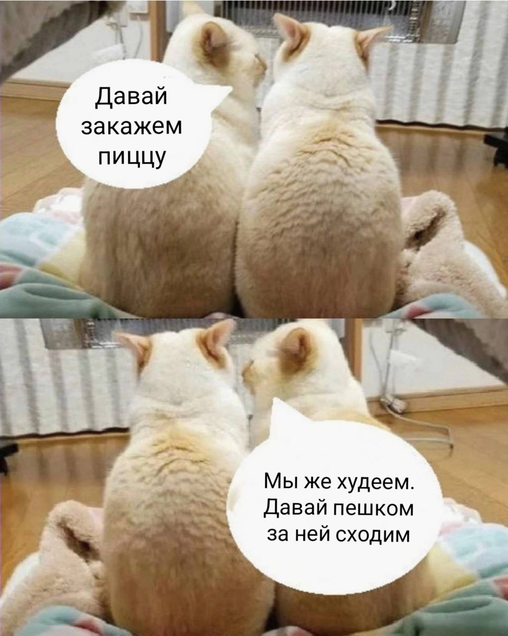 Кулёма - PharmacomLabs - Tesos - Бодибилдинг форум AnabolicShops