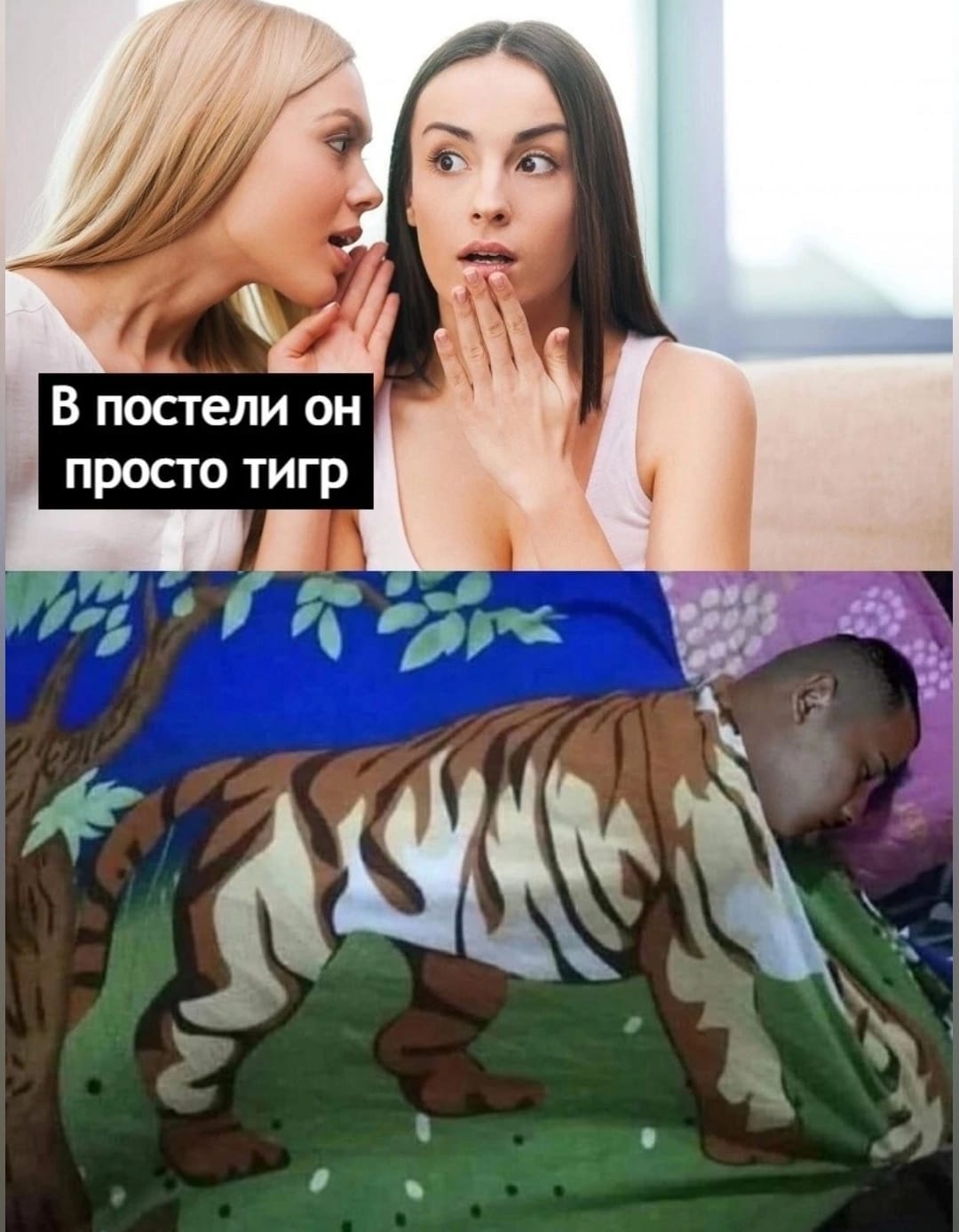 Анекдоты обо всем - Бодибилдинг форум AnabolicShops