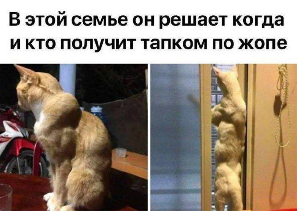 Анекдоты обо всем - Бодибилдинг форум AnabolicShops