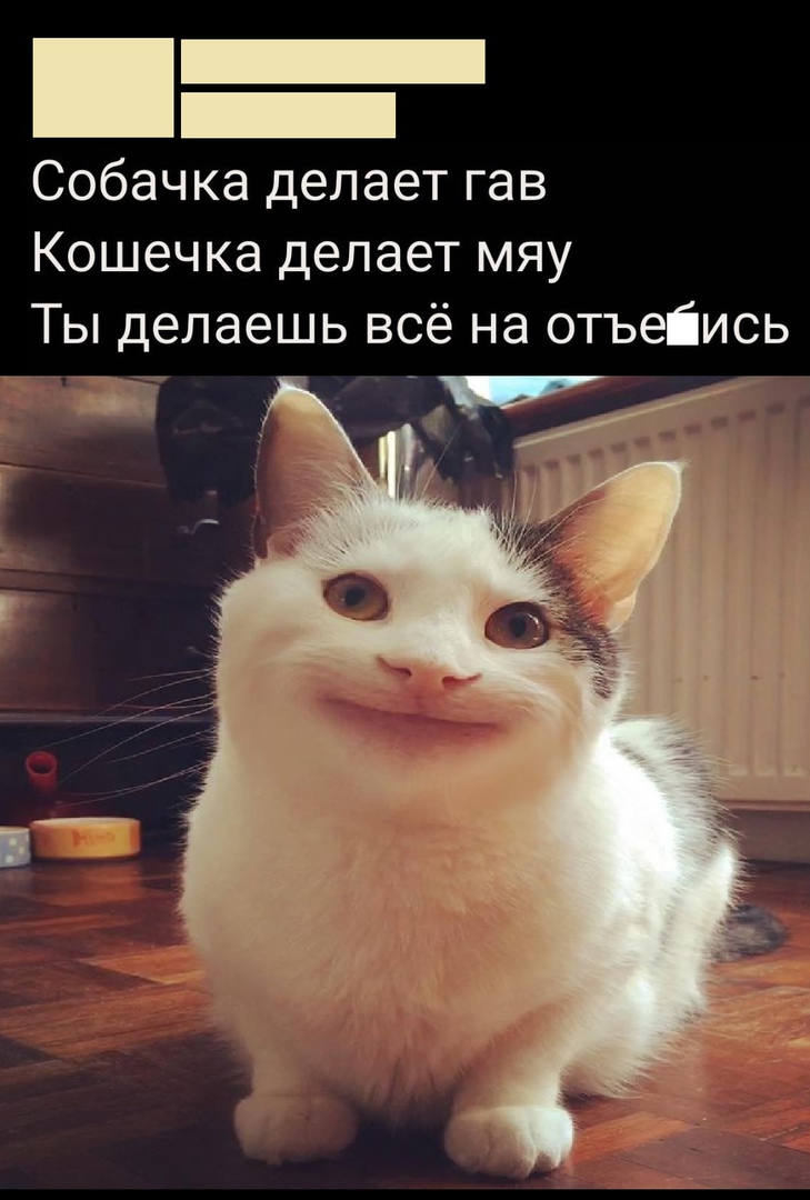 Анекдоты обо всем - Бодибилдинг форум AnabolicShops