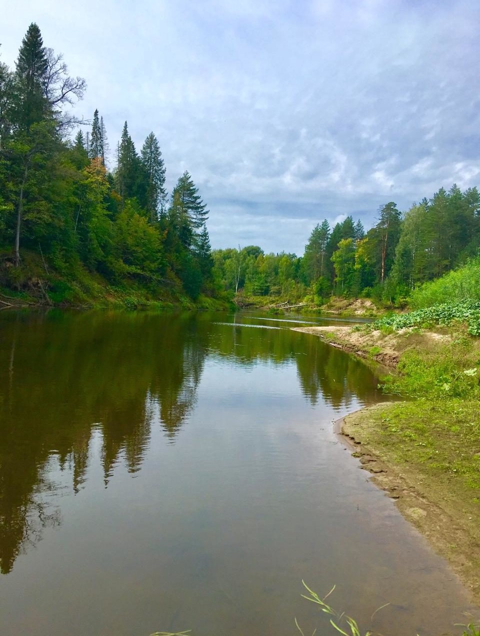 Hilma PRO - с заботой о вашем здоровье! - Бодибилдинг форум AnabolicShops