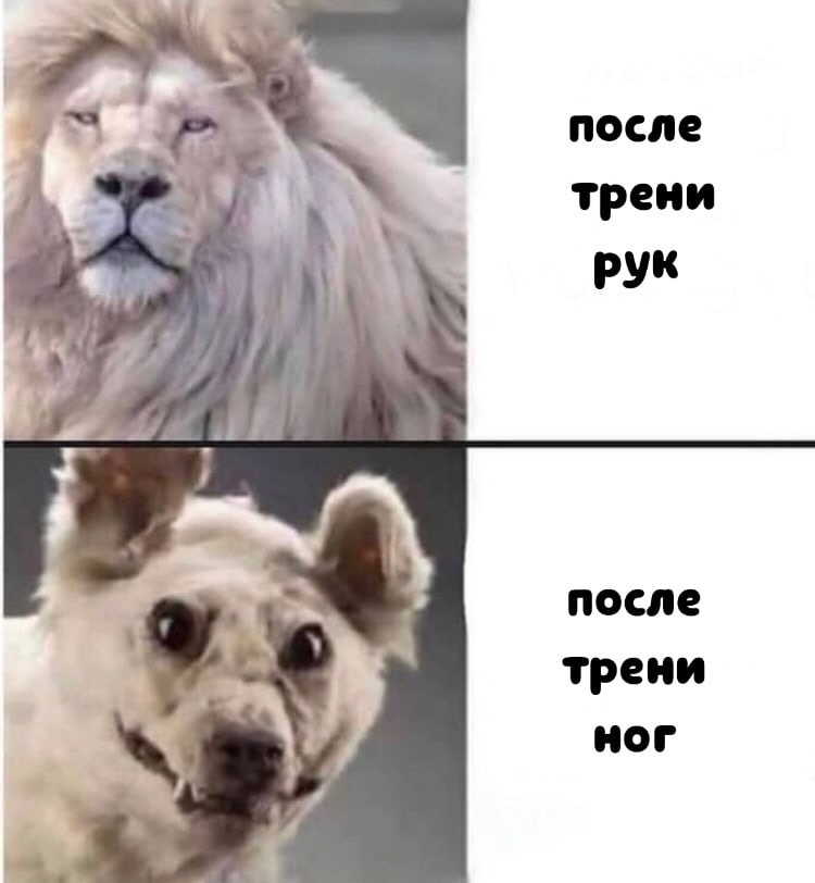 Анекдоты обо всем - Бодибилдинг форум AnabolicShops