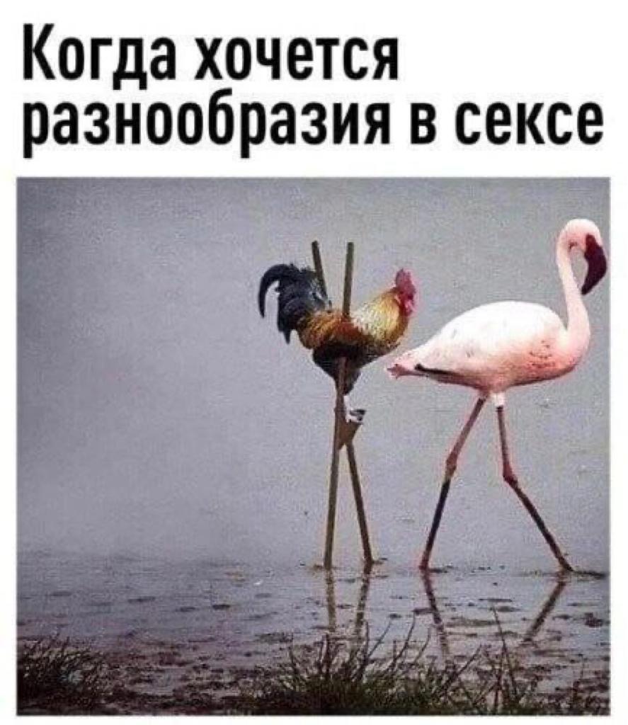 Анекдоты обо всем - Бодибилдинг форум AnabolicShops