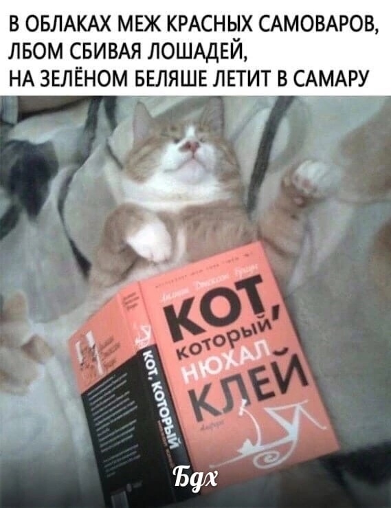 Анекдоты обо всем - Бодибилдинг форум AnabolicShops