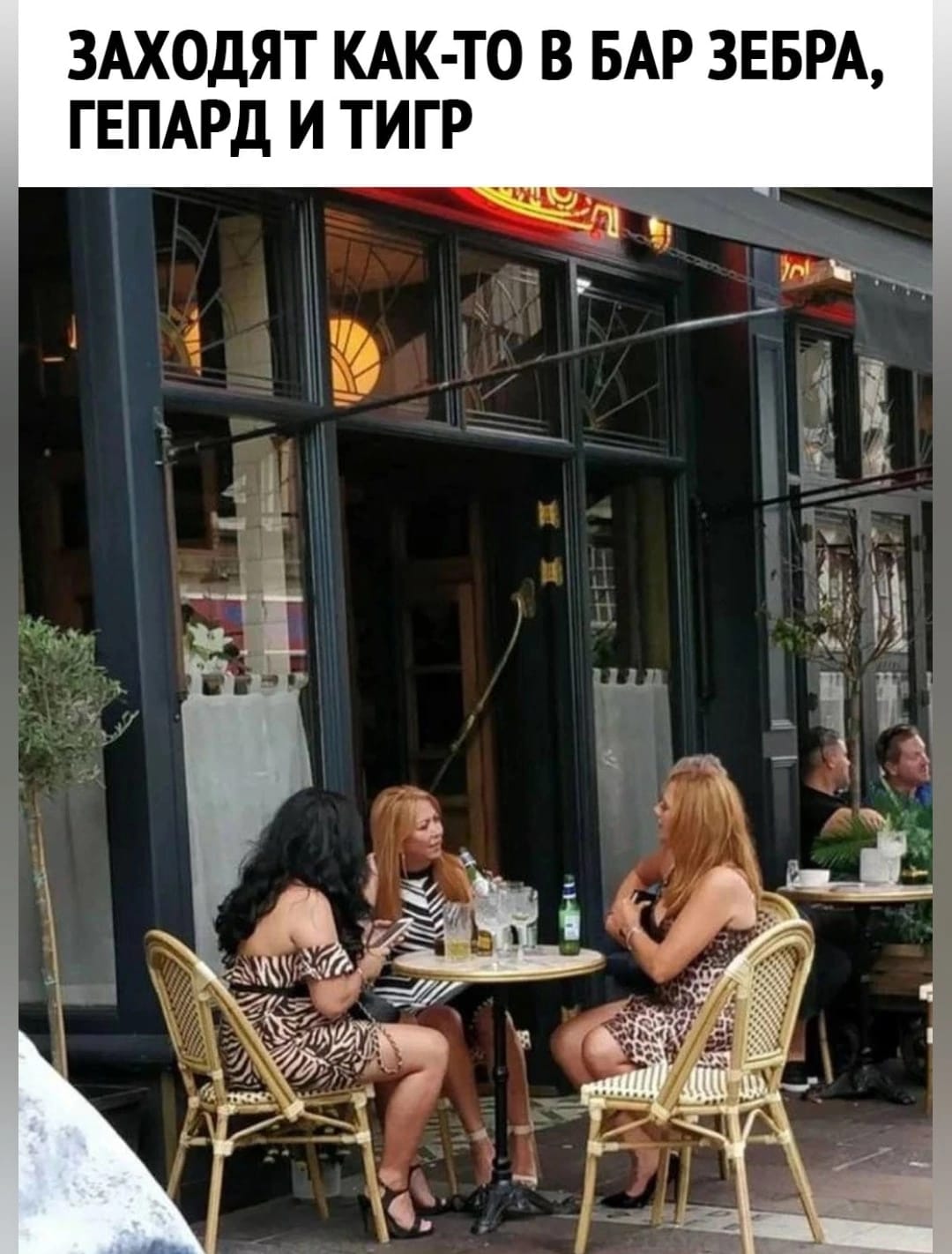 Анекдоты обо всем - Бодибилдинг форум AnabolicShops