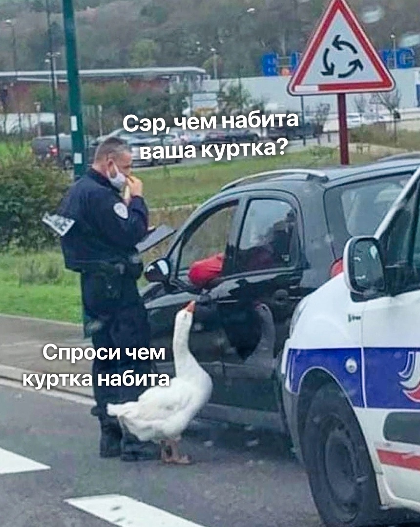 Анекдоты обо всем - Бодибилдинг форум AnabolicShops