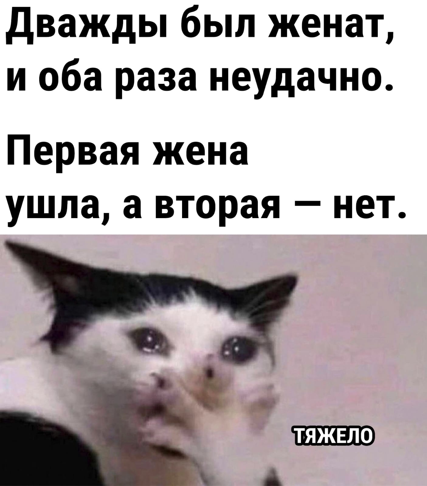 Анекдоты обо всем - Бодибилдинг форум AnabolicShops