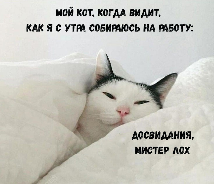 АНАБОЛИКИ.net - оф.дилер SP, Zerox, Genetic, Magnus, Lyka ! - Бодибилдинг форум AnabolicShops