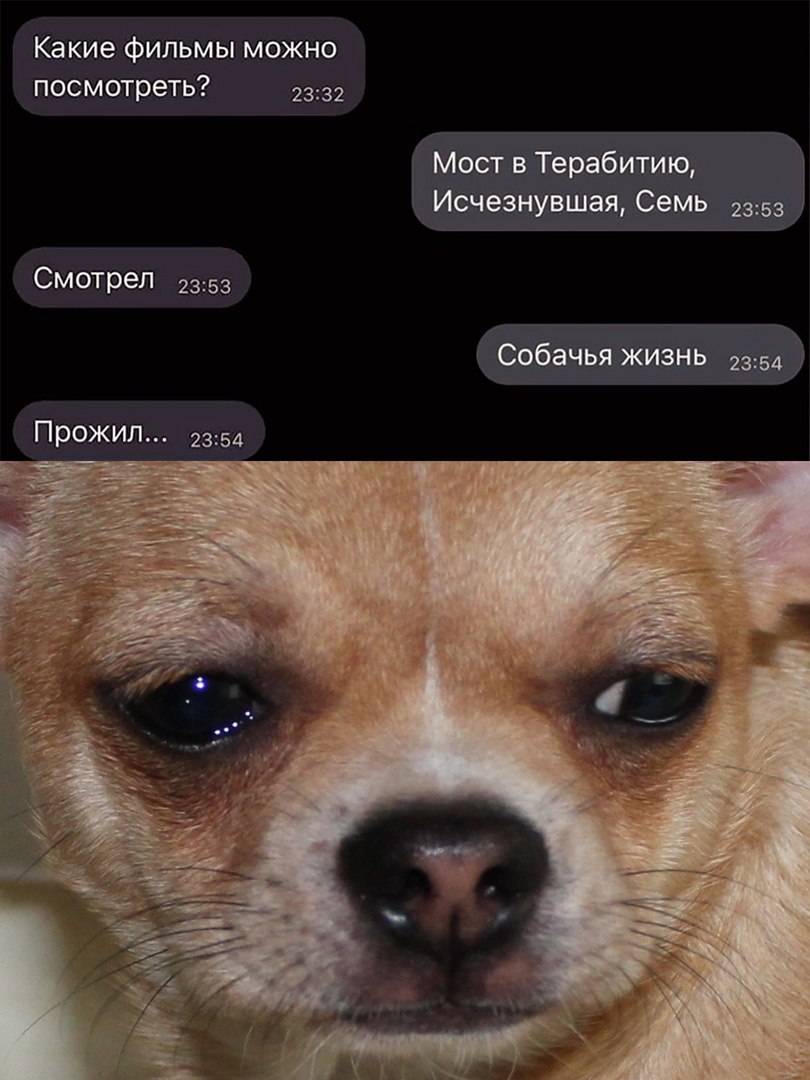 Анекдоты обо всем - Бодибилдинг форум AnabolicShops