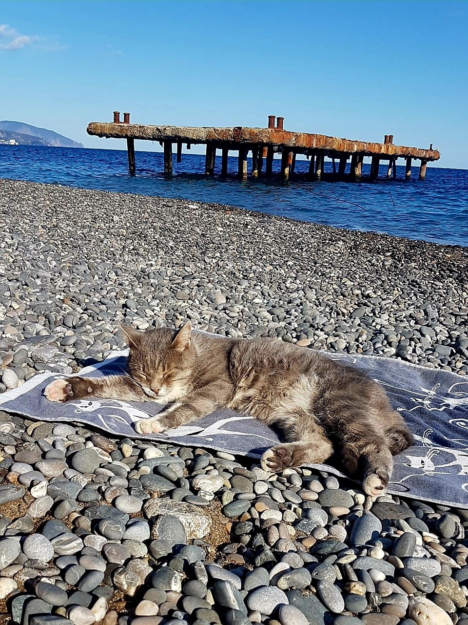 Hilma PRO - с заботой о вашем здоровье! - Бодибилдинг форум AnabolicShops