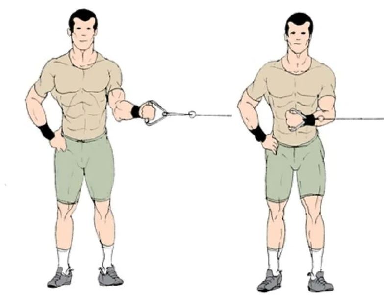 Курилка- разговоры на любые темы - Бодибилдинг форум AnabolicShops