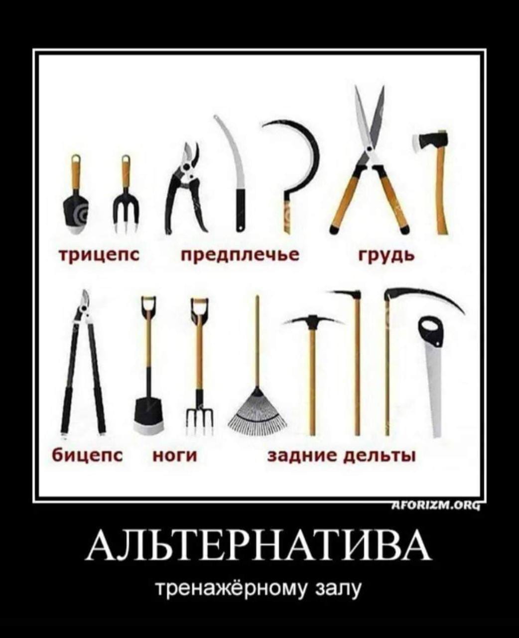 Анекдоты обо всем - Бодибилдинг форум AnabolicShops