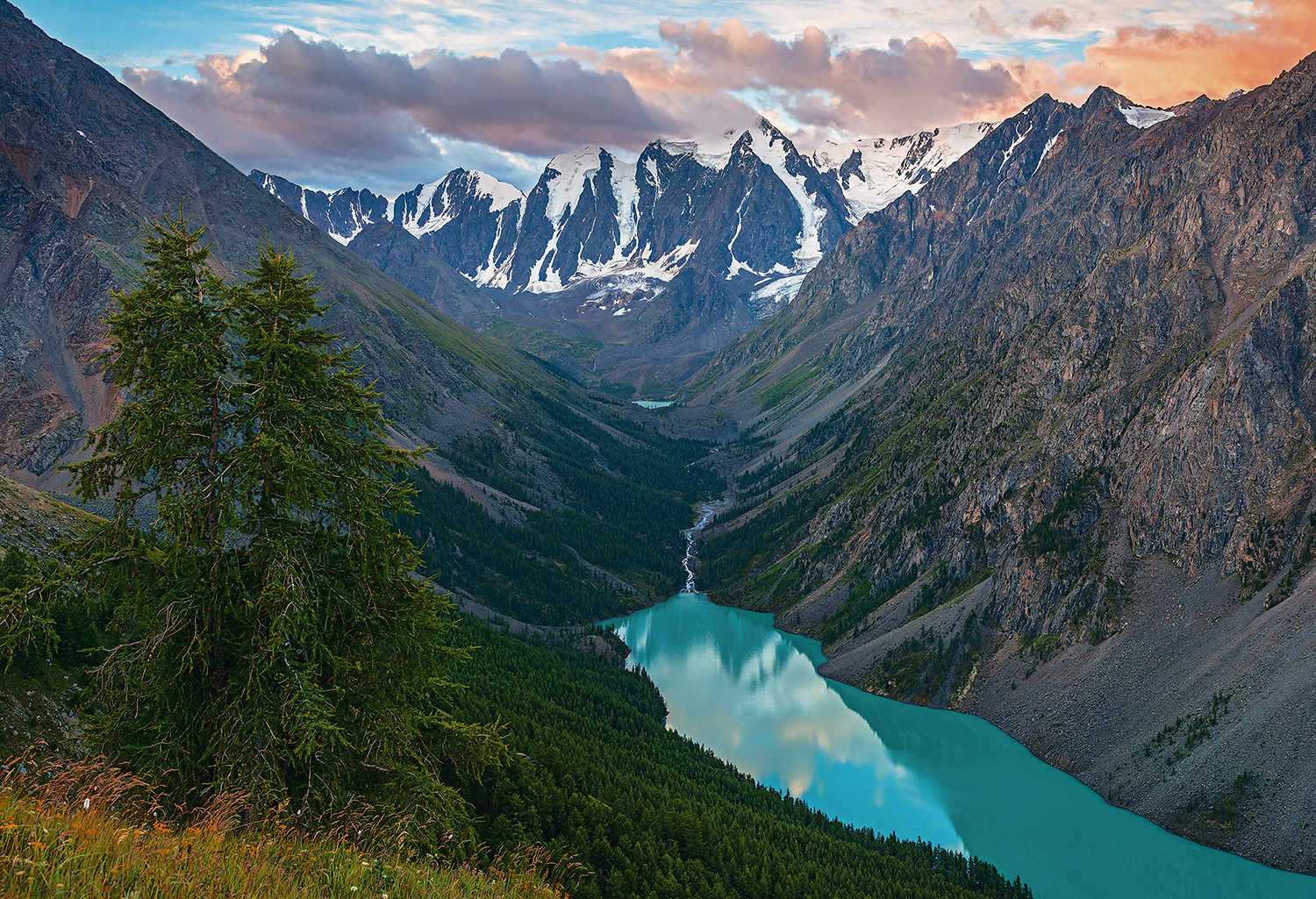 Оксана VS Маст или Таблетки VS Инжекты - Бодибилдинг форум AnabolicShops