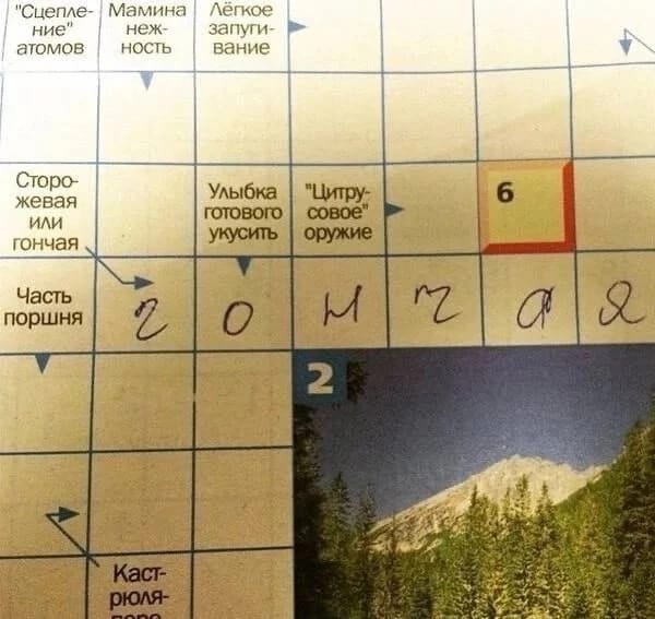 Анекдоты обо всем - Бодибилдинг форум AnabolicShops