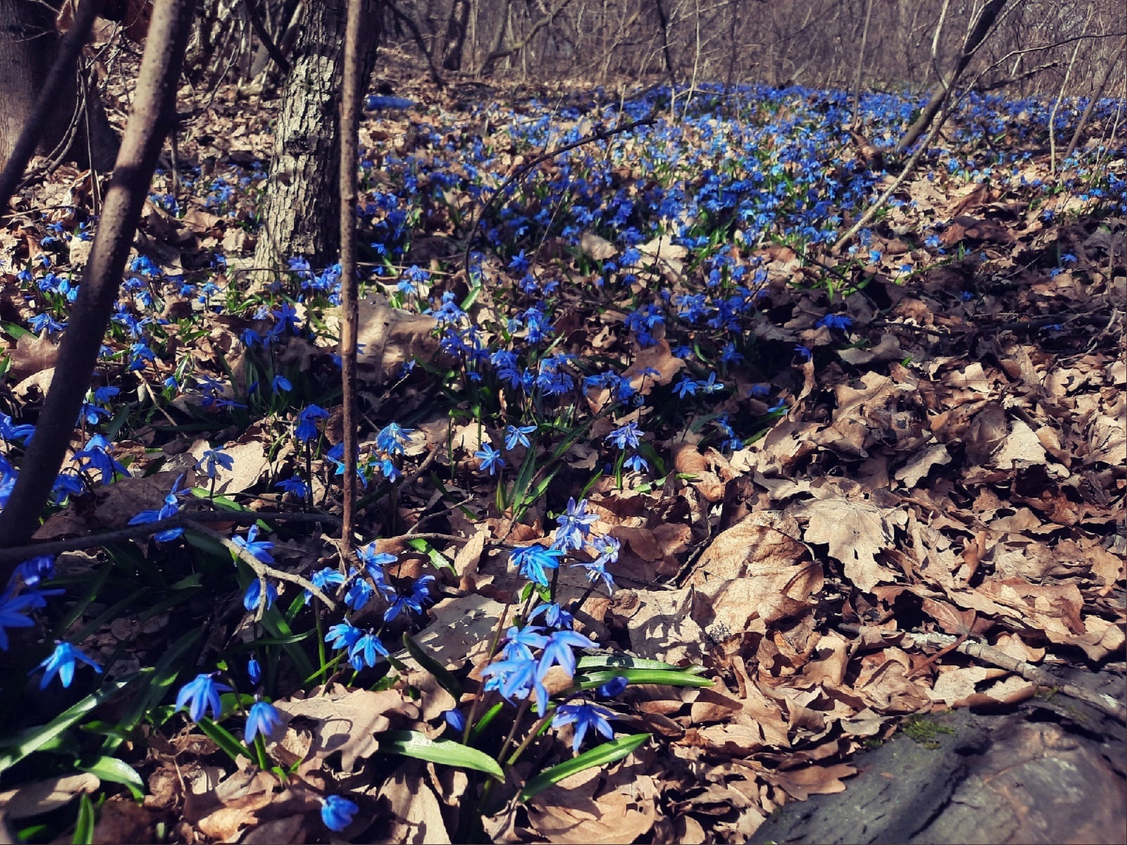 Курилка- разговоры на любые темы - Бодибилдинг форум AnabolicShops