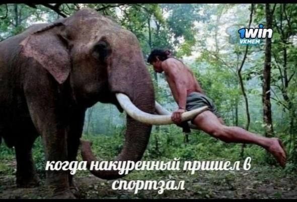 Курилка- разговоры на любые темы - Бодибилдинг форум AnabolicShops