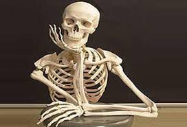 italicafarm.com - Бодибилдинг форум AnabolicShops