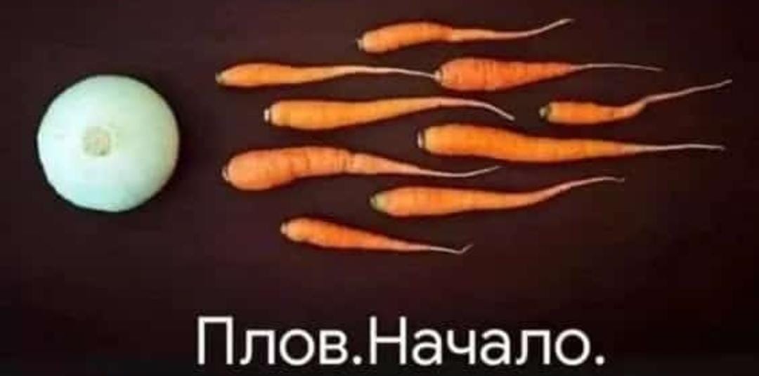 Анекдоты обо всем - Бодибилдинг форум AnabolicShops