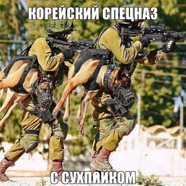 Анекдоты обо всем - Бодибилдинг форум AnabolicShops