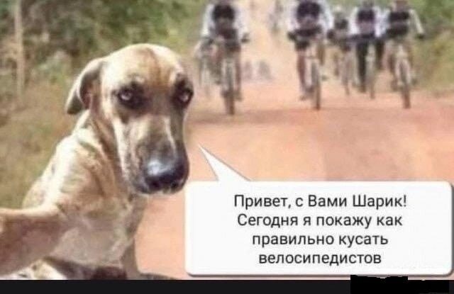 Анекдоты обо всем - Бодибилдинг форум AnabolicShops