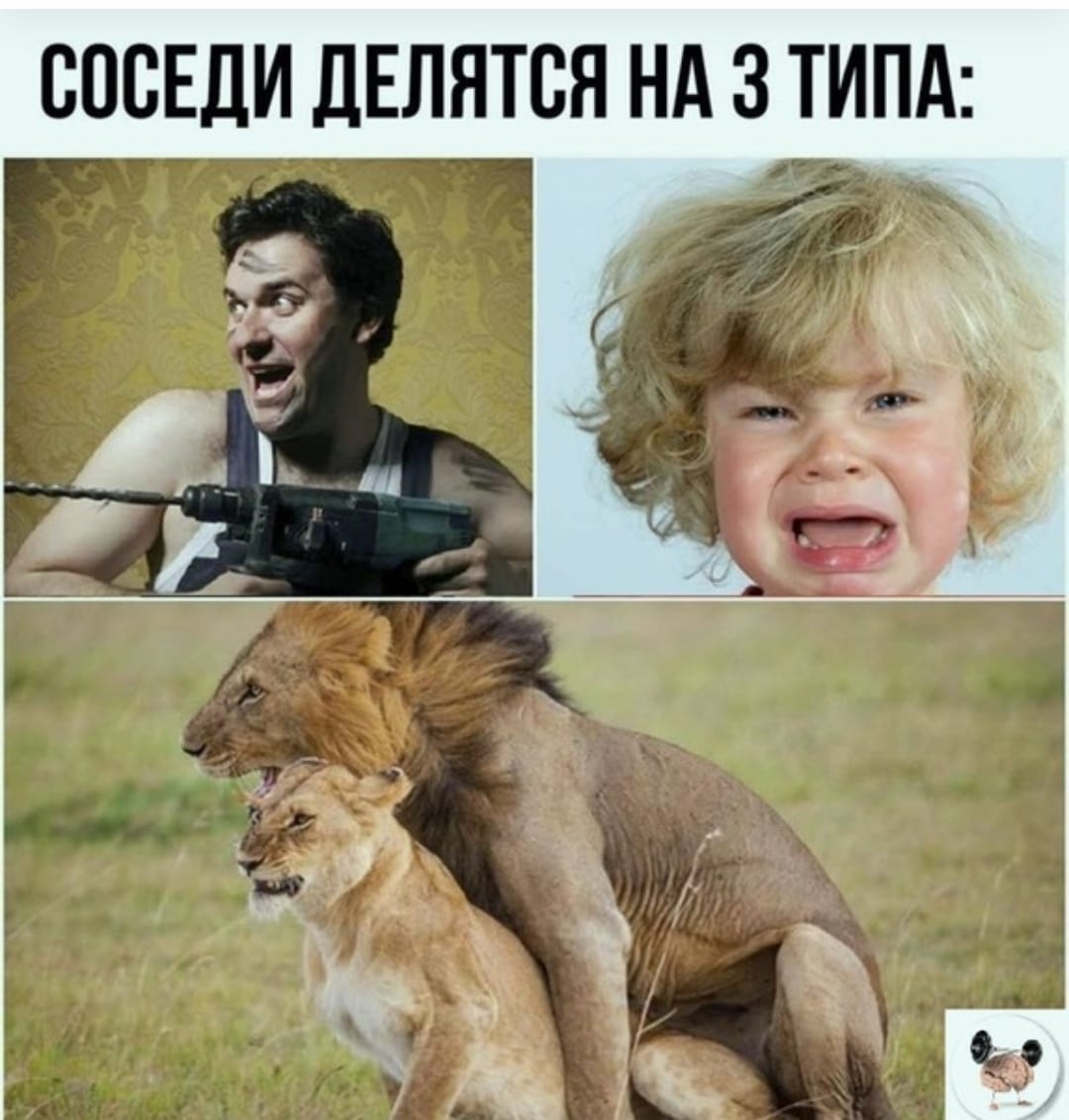 Курилка- разговоры на любые темы - Бодибилдинг форум AnabolicShops