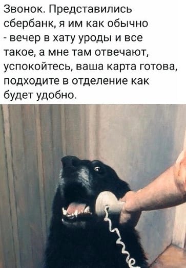 Анекдоты обо всем - Бодибилдинг форум AnabolicShops