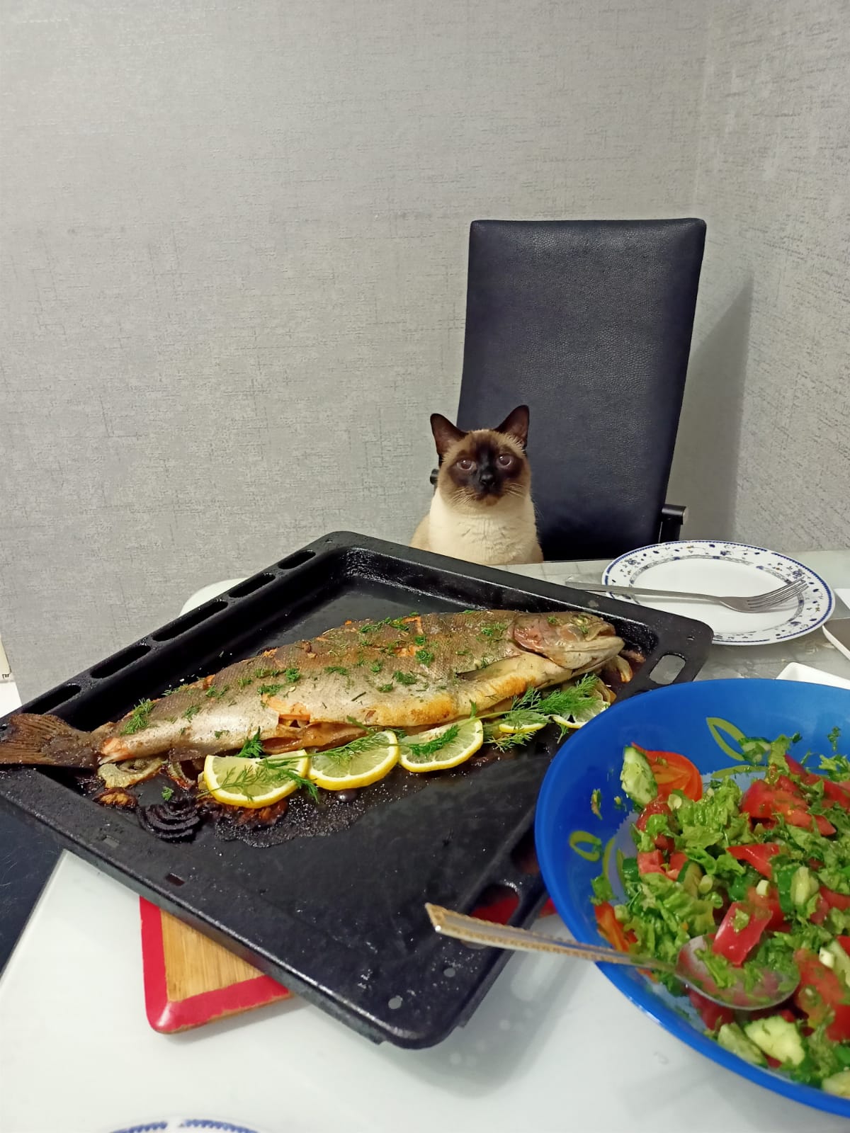 Hilma PRO - с заботой о вашем здоровье! - Бодибилдинг форум AnabolicShops