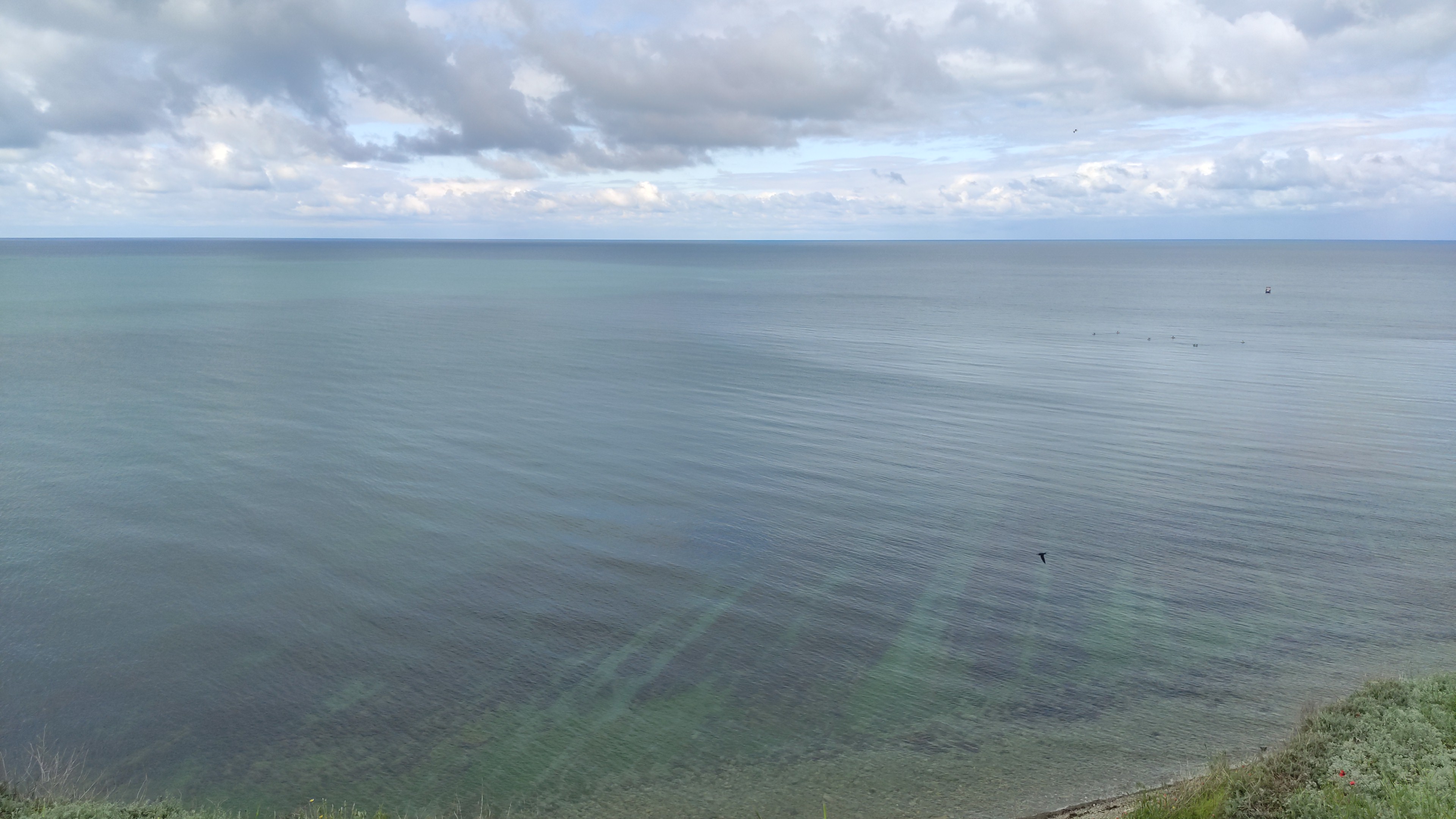 Hilma PRO - с заботой о вашем здоровье! - Бодибилдинг форум AnabolicShops