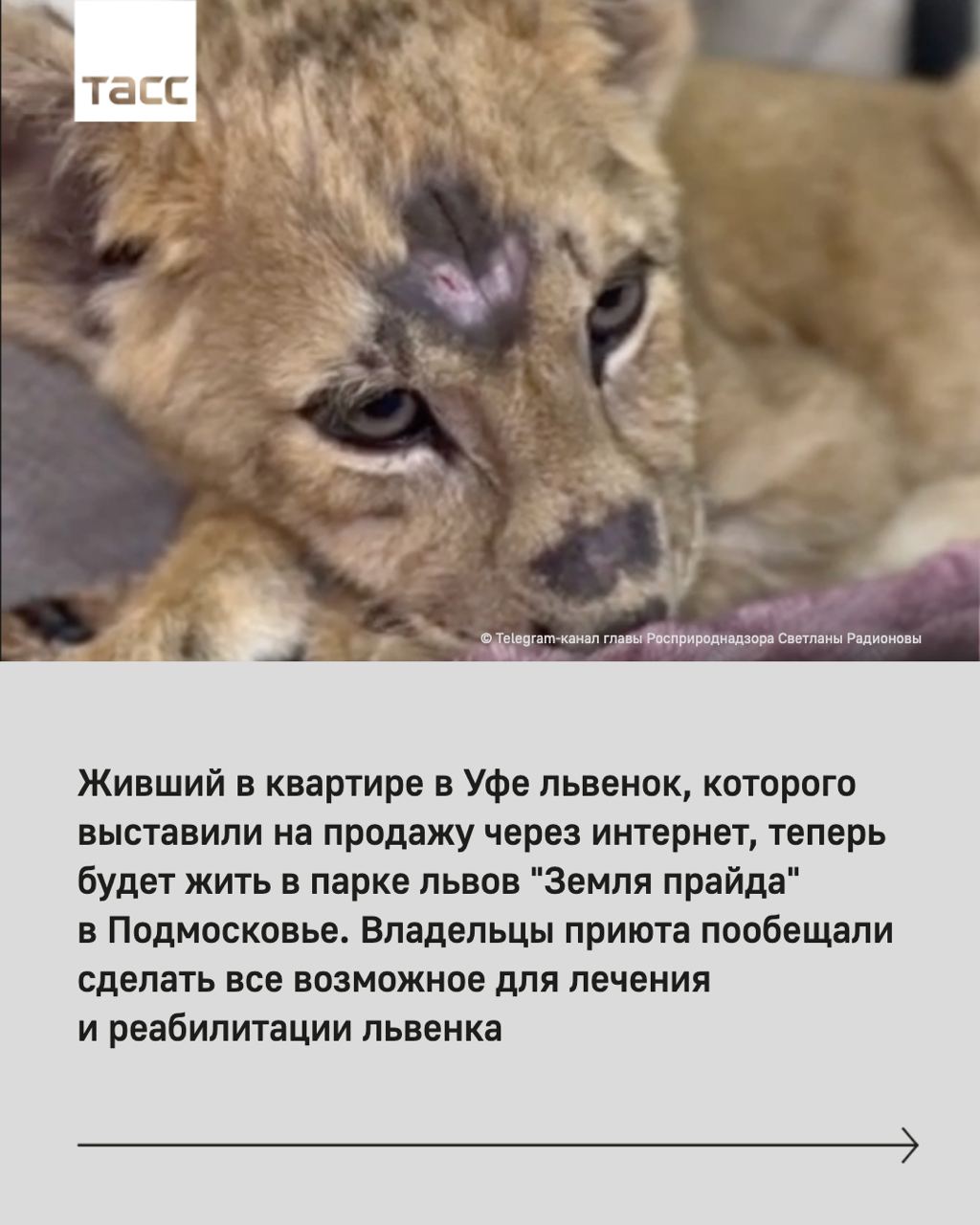 Hilma PRO - с заботой о вашем здоровье! - Бодибилдинг форум AnabolicShops