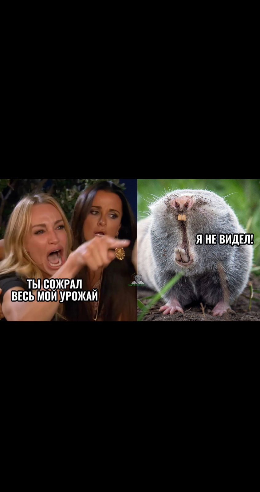 Анекдоты обо всем - Бодибилдинг форум AnabolicShops