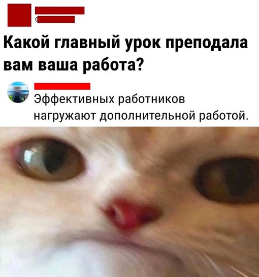 Анекдоты обо всем - Бодибилдинг форум AnabolicShops