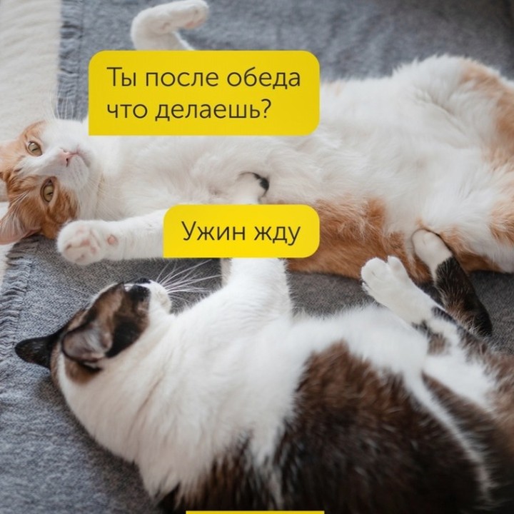 Hilma PRO - с заботой о вашем здоровье! - Бодибилдинг форум AnabolicShops