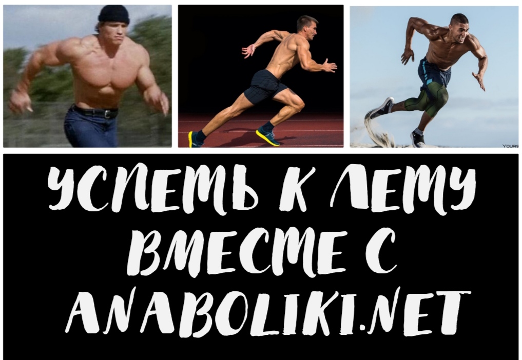 АНАБОЛИКИ.net - оф.дилер SP, Zerox, Genetic, Magnus, Lyka ! - Бодибилдинг форум AnabolicShops