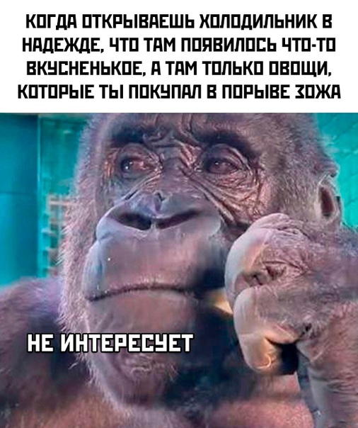 Анекдоты обо всем - Бодибилдинг форум AnabolicShops