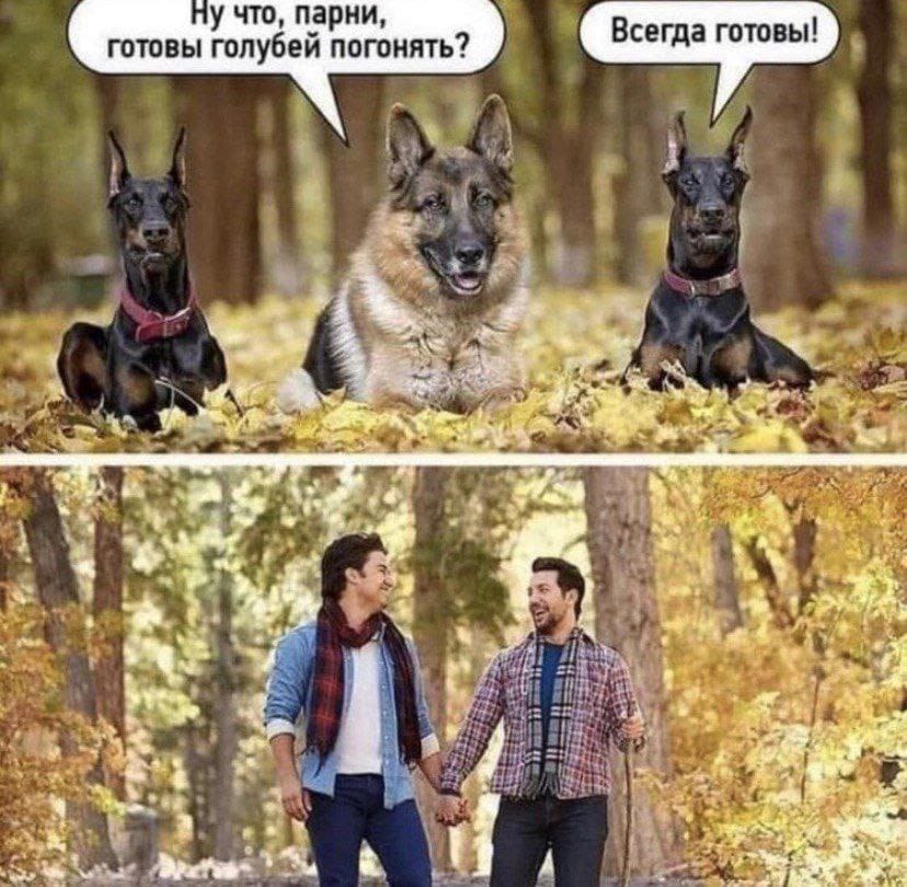 Анекдоты обо всем - Бодибилдинг форум AnabolicShops