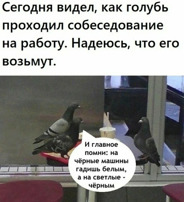 Анекдоты обо всем - Бодибилдинг форум AnabolicShops