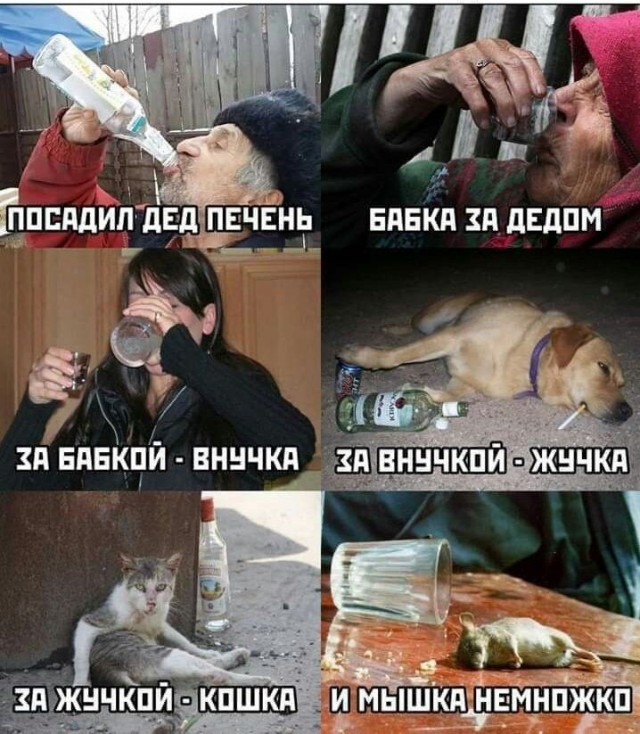 Анекдоты обо всем - Бодибилдинг форум AnabolicShops