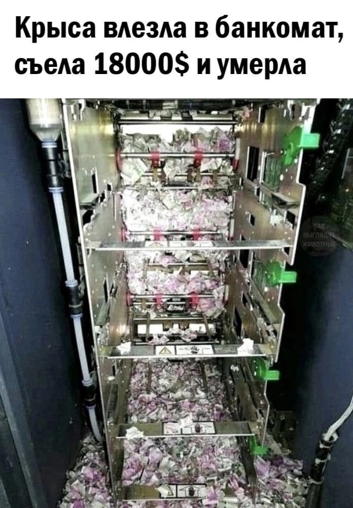 Анекдоты обо всем - Бодибилдинг форум AnabolicShops