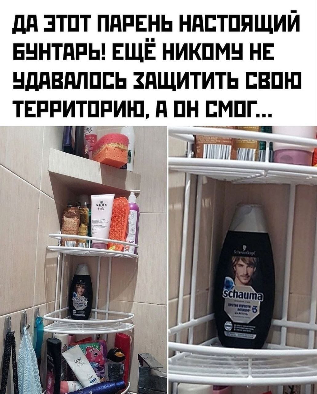 Анекдоты обо всем - Бодибилдинг форум AnabolicShops