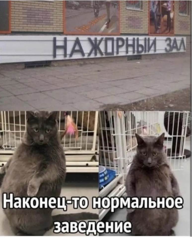 Курилка- разговоры на любые темы - Бодибилдинг форум AnabolicShops