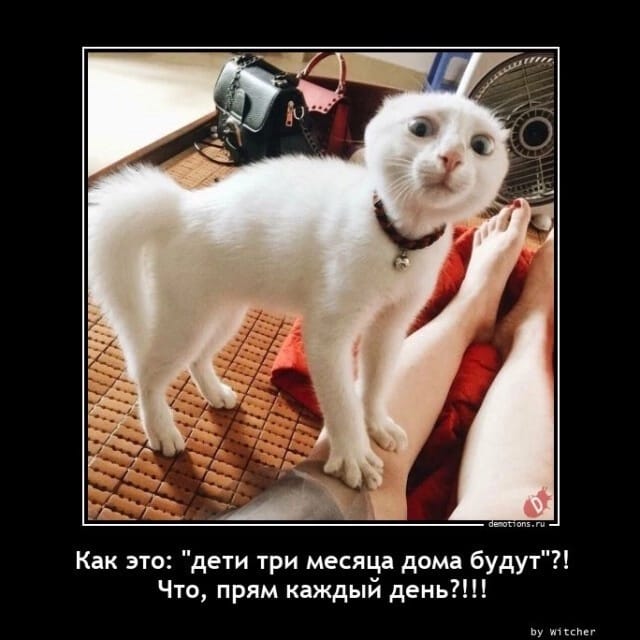 Анекдоты обо всем - Бодибилдинг форум AnabolicShops