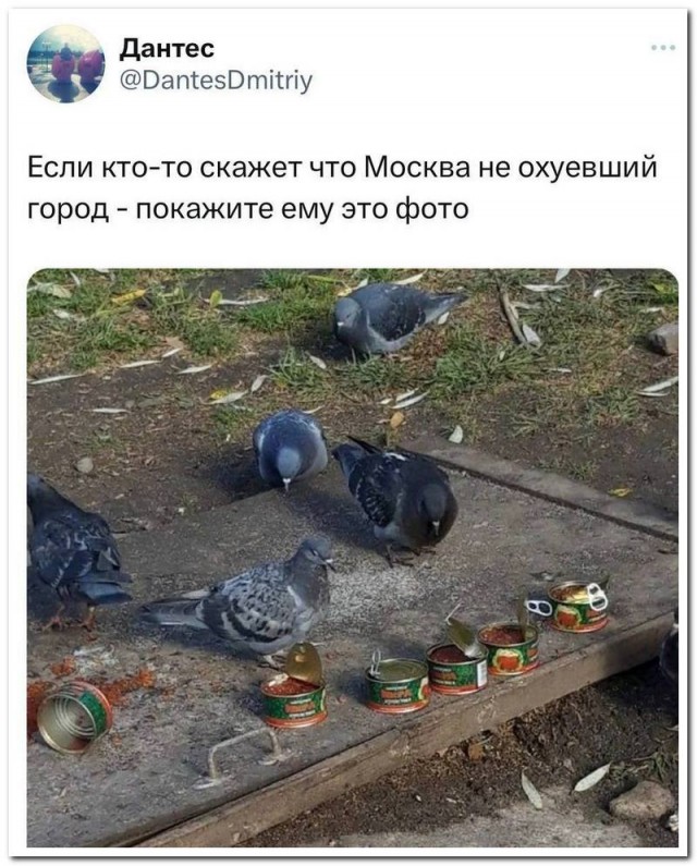 Встреча в реале форумчан в Москве! - Бодибилдинг форум AnabolicShops