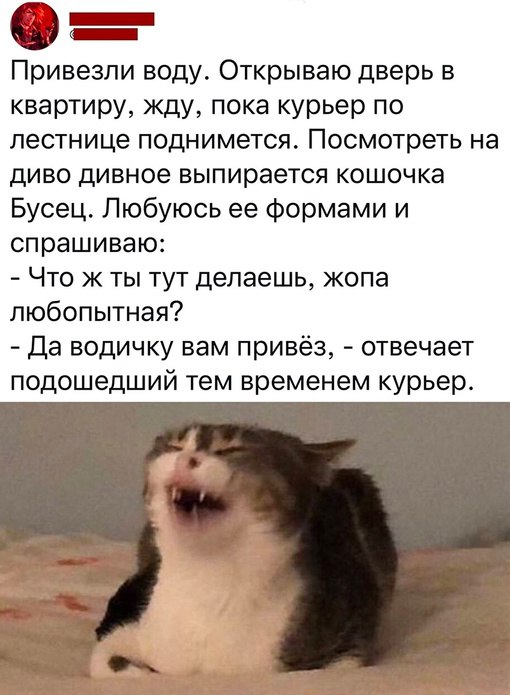 Анекдоты обо всем - Бодибилдинг форум AnabolicShops