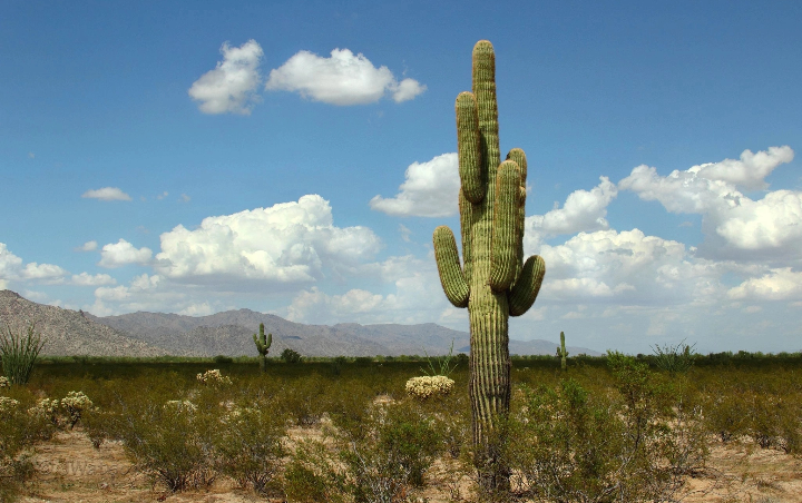 Встреча в реале форумчан в Москве! - Бодибилдинг форум AnabolicShops
