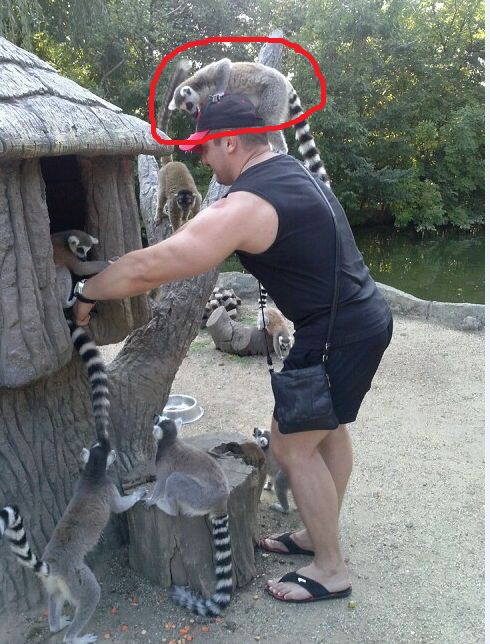 Thomas&Co - Медицинское качество. - Бодибилдинг форум AnabolicShops