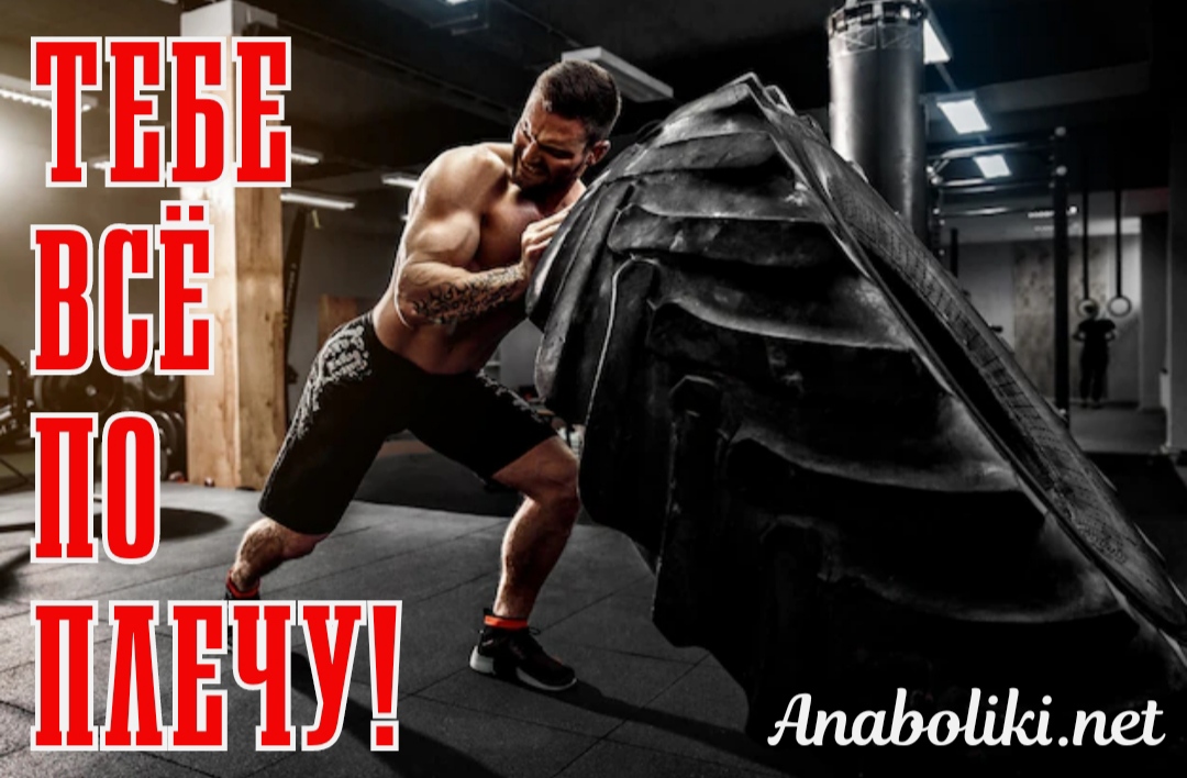 АНАБОЛИКИ.net - оф.дилер SP, Zerox, Genetic, Magnus, Lyka ! - Бодибилдинг форум AnabolicShops