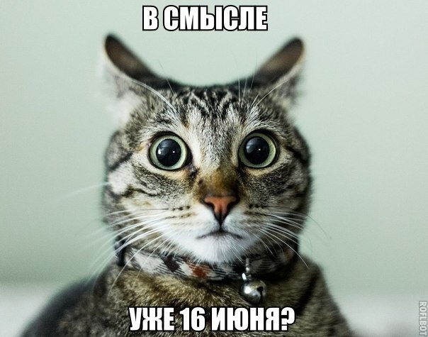 Курилка- разговоры на любые темы - Бодибилдинг форум AnabolicShops